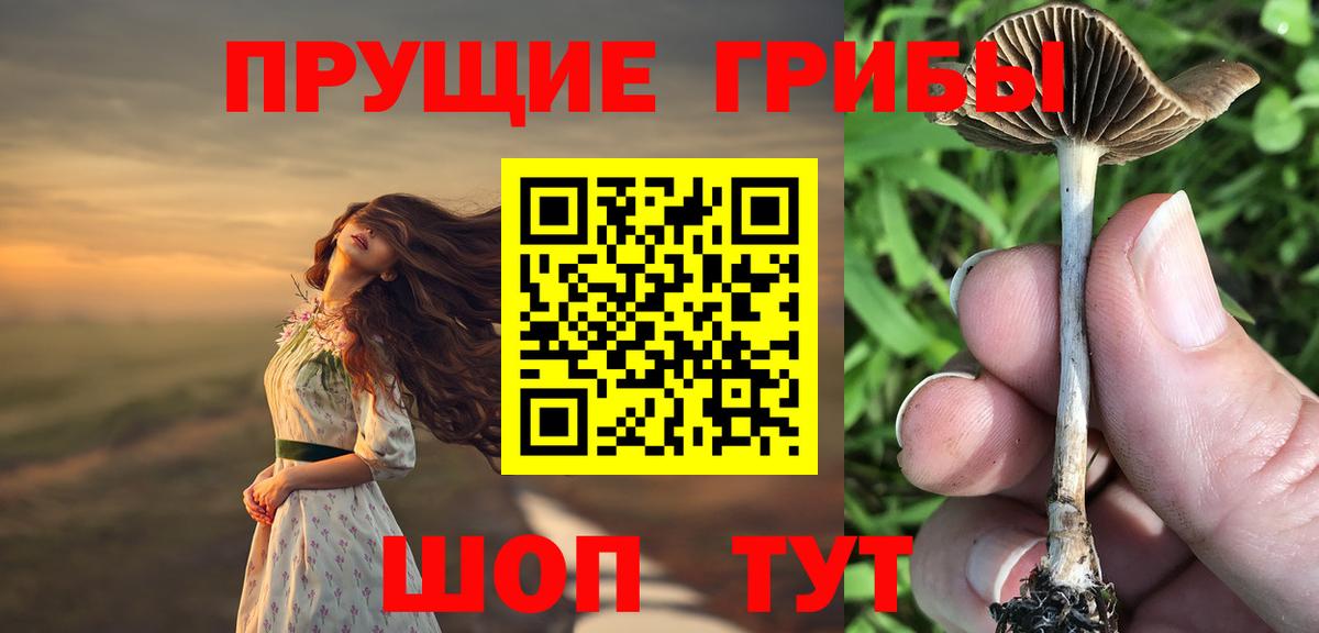 Галлюциногенные грибы мухоморы Отрадный